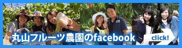 丸山フルーツ農園のFacebook