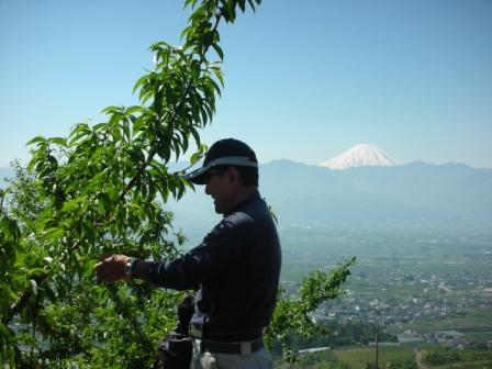 新しい記事: 本日快晴　富士山もくっきり